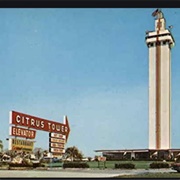 Florida Citrus Tower