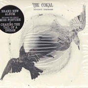 The Coral — Distance Inbetween