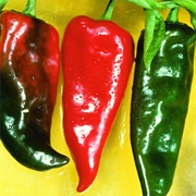 Anaheim Pepper