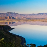 Lake Elementaita, Kenya