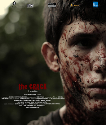 The Crack (2012)