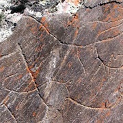 Prehistoric Rock Art Sites in the Côa Valley and Siega Verde