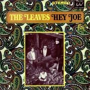 The Leaves - Hey Joe