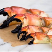 Florida Stone Crab