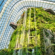 Gardens by the Bay Cloudforest