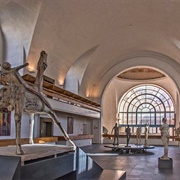 Museo Marino Marini, Florence