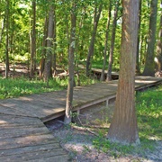 Colleton State Park