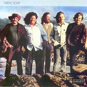 The Turtles - Turtle Soup