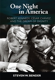 One Night in America (Steven W. Bender)