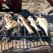 Fresh-Caught Fish