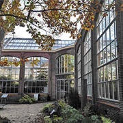 Hortus Botanicus Amsterdam