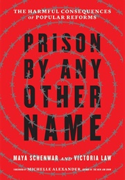 Prison by Any Other Name (Maya)