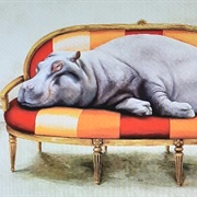 Couch Hippo