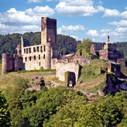 Burg Metternich
