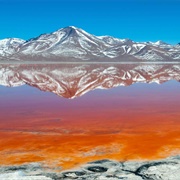 Laguna Colorada, Bolivia