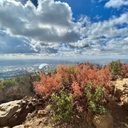 Cowles Mountain