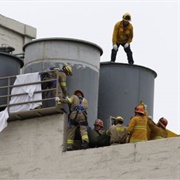 Corpses in Water Tanks