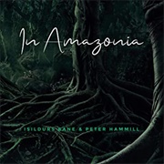 Isildurs Bane & Peter Hammill - In Amazonia