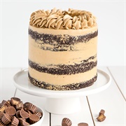 Chocolate Peanut Butter Cake