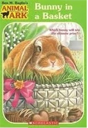 Bunny in a Basket (Lucy Daniels)
