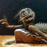 The Feejee Mermaid, Nature Museum