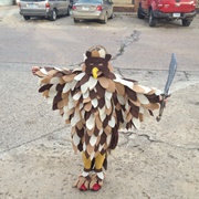 Bird of Prey Costume