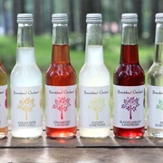 Breckland Orchard Posh Pop