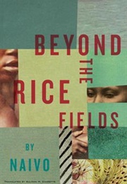 Beyond the Rice Fields (Naivo - Madagascar)