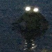 Frogman of Loveland, Ohio