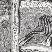 Sceptical Schizo - The Four Seasons