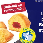 Lotus Mini Cakes Raspberry