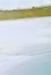 Mission Zero (Bigelow) (2007)