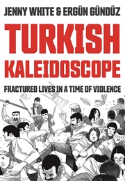 Turkish Kaleidoscope: Fractured Lives in a Time of Violence (Jenny White)