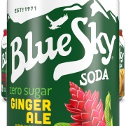 Blue Sky Zero Sugar Ginger Ale