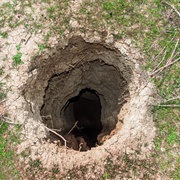 Hole