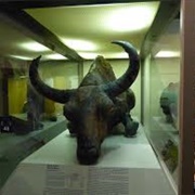 Blue Babe in Fairbanks, Alaska