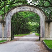 Wormsloe Historic Site