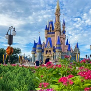Magic Kingdom (Florida)