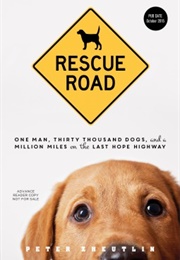 Rescue Road (Peter Zheutlin)