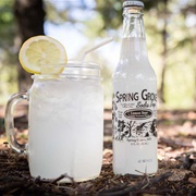 Spring Grove Soda Pop Lemon Sour