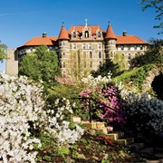 Chestnut Hill College