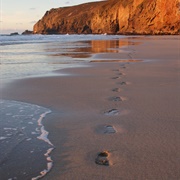 Leave Your Mark in the World