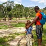 Dzanga-Sangha Reserve, Central African Republic