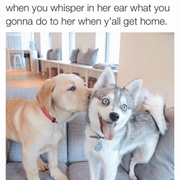 Whispers in My Ear