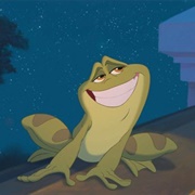 Frog Naveen