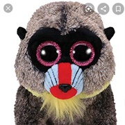 Wasabi (Rename: Rafiki)