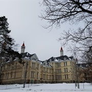 The Traverse City State Hospital