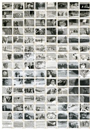 No One Is Safe (Katherine Wirick)