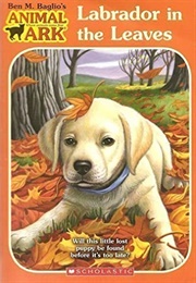 Labrador in the Leaves (Lucy Daniels)