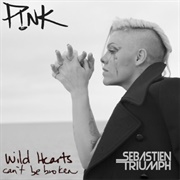 P!Nk - Wild Hearts Can&#39;t Be Broken
